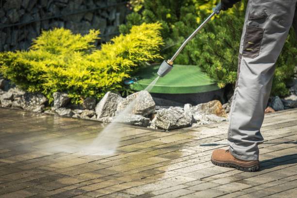 Best Driveway Pressure Washing  in Williamsburg, FL
