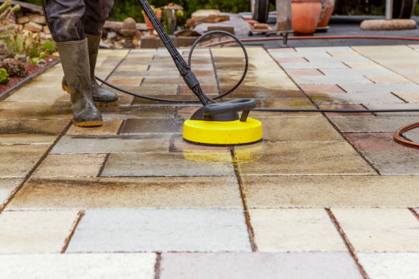 Best Gutter Cleaning  in Williamsburg, FL