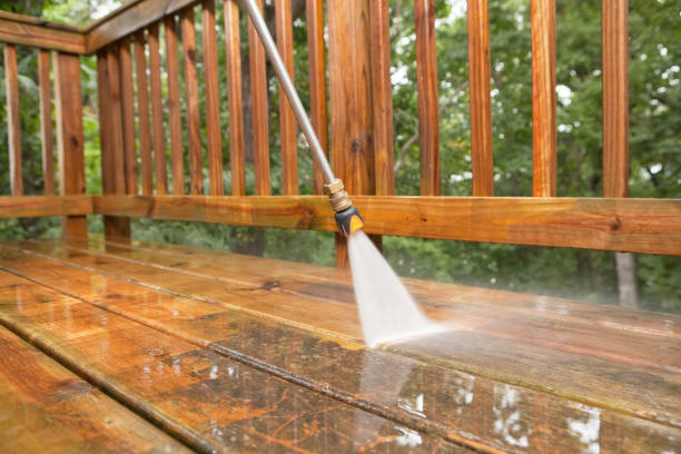 Best Animal Enclosure Cleaning  in Williamsburg, FL